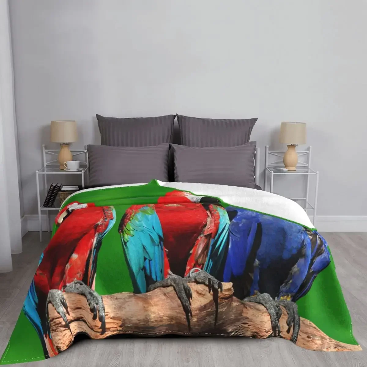 Cockatiel �� ��� �ö��� ���� ���� �ܿ�, ���� �޹��� ���� �ε巯�� ������ ���, ħ�� �繫�� ħ�뺸