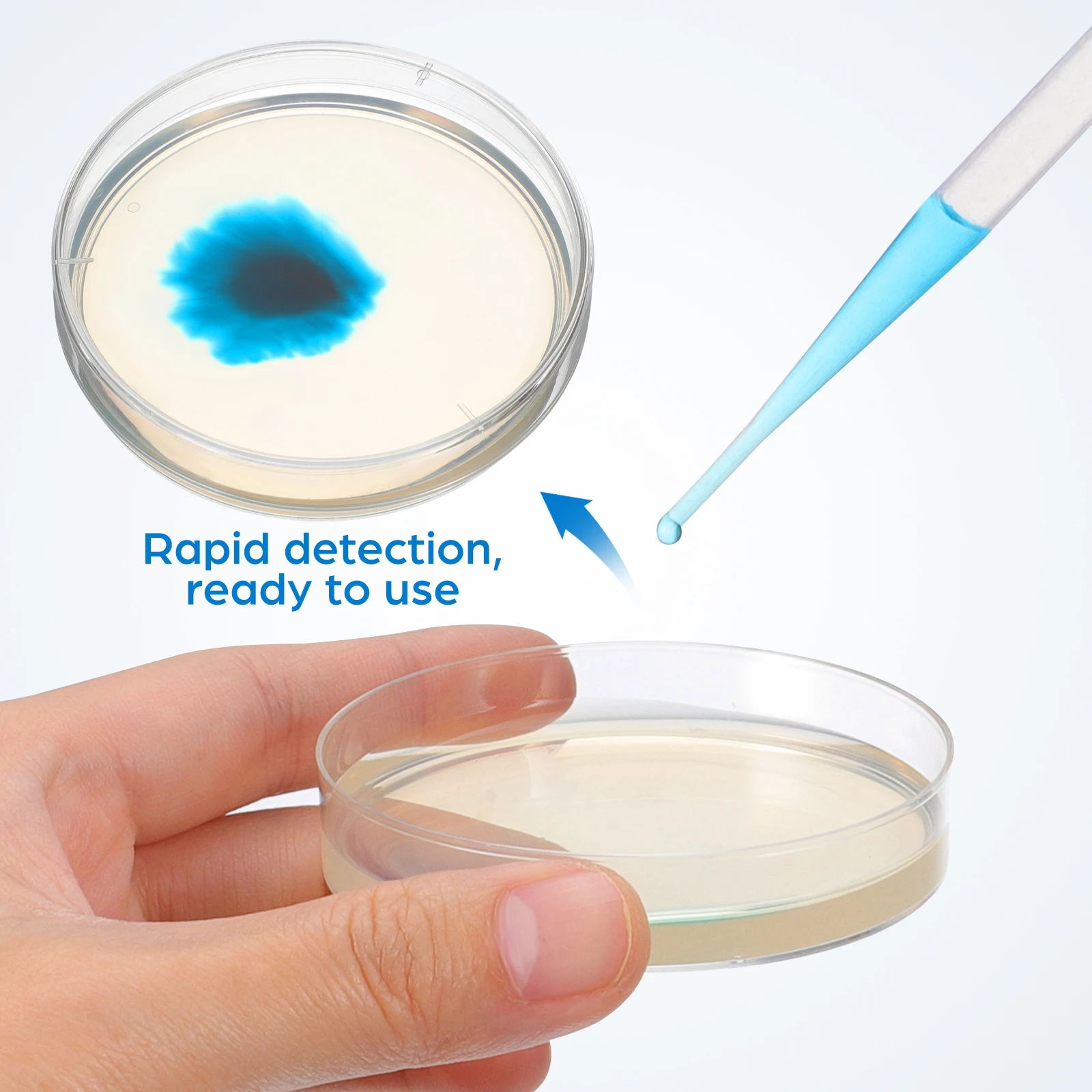 20 Pcs Cell Culture Plate Science Lab Equipment Party Decorations Experiments Agar Plates Mycology Prepoured