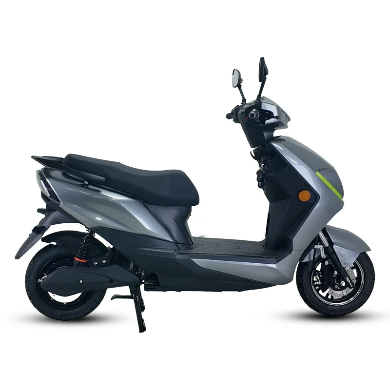1000W High-Speed Electric Bicycle Motorcycle 6