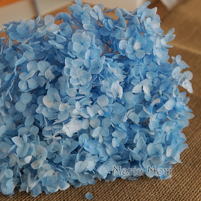 Anna Hydrangea  Flowers  Little  Leaves Preserved Hydrangea Decor  Office Decor  DIY Flowers Color 39