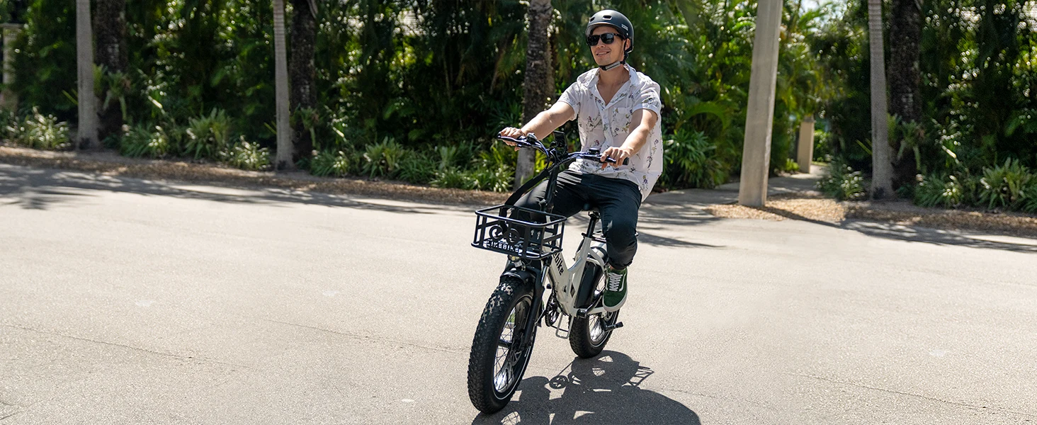 Electric Bike for Adults