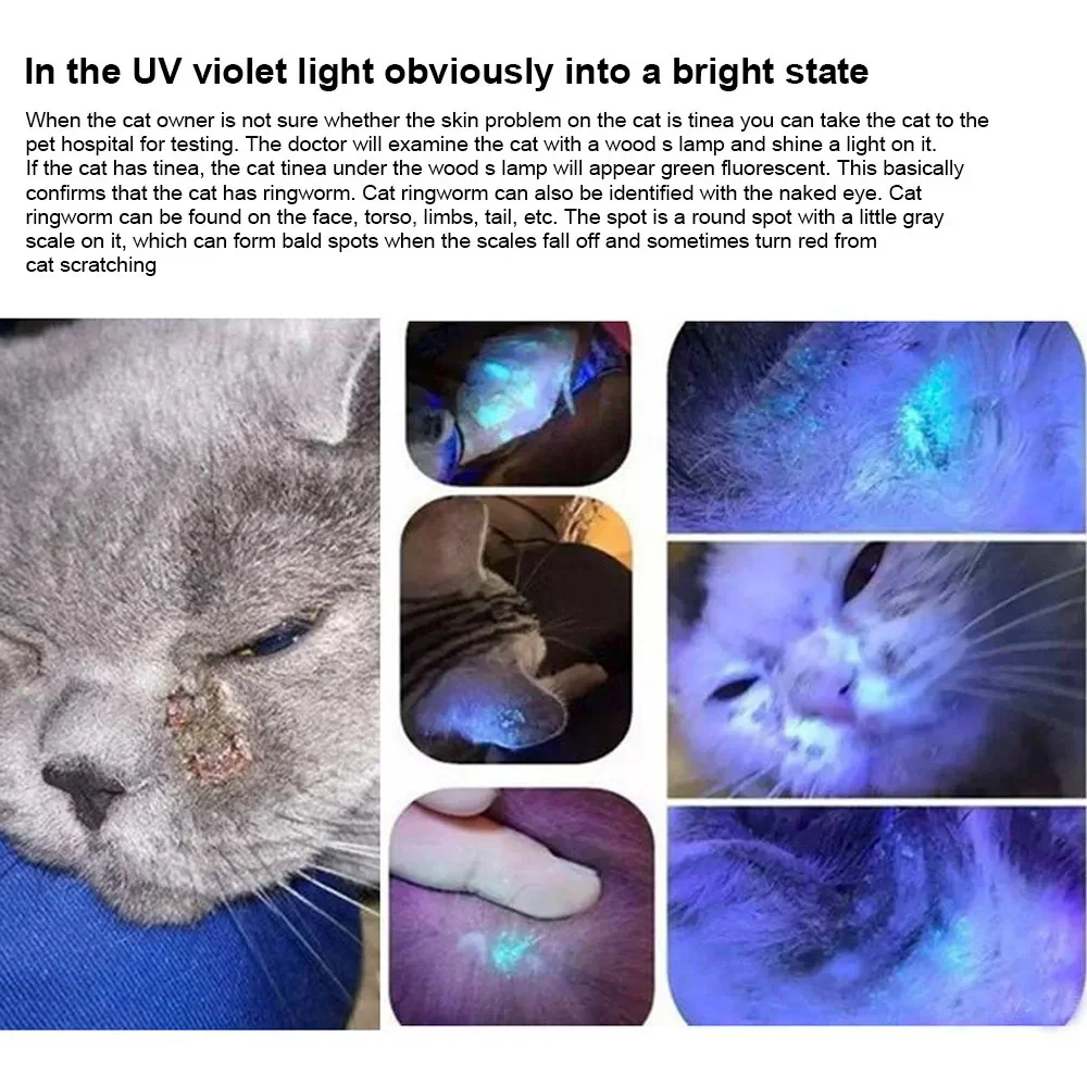 365 UV Veterinary Wood Lamp Pet Fungus Detection Waterproof Flashlight Skin Ultraviolet Light Cat Moss Tinea Light Black Mirror 4