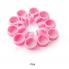 10pcs Household Windproof Clothes Pegs Drying Clothes Hanger Hook Plastic Windproof Fixed Buckle Storage Tool Clothes Pegs 4