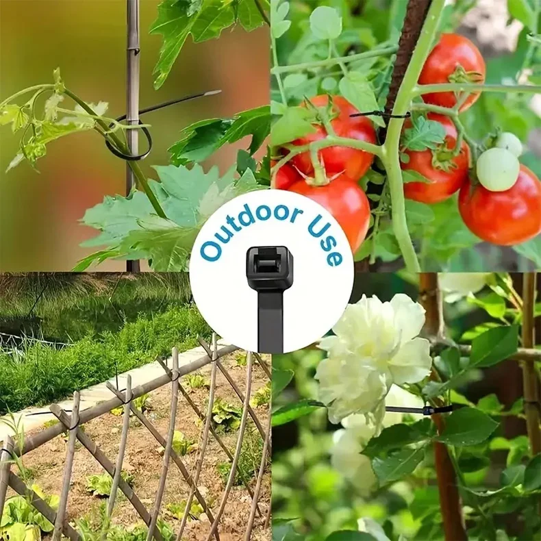 Description Picture 4 of itemChenfeng Plastic Black Cable Tie 100 Pieces/Bag Set Assembly Export Special Cable Ties