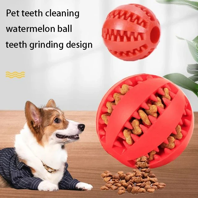 Dog Ball Toys for Small Dogs Interactive Elasticity Puppy Chew Toy Tooth Cleaning Rubber Food Ball Toy Pet Stuff Accessories 4