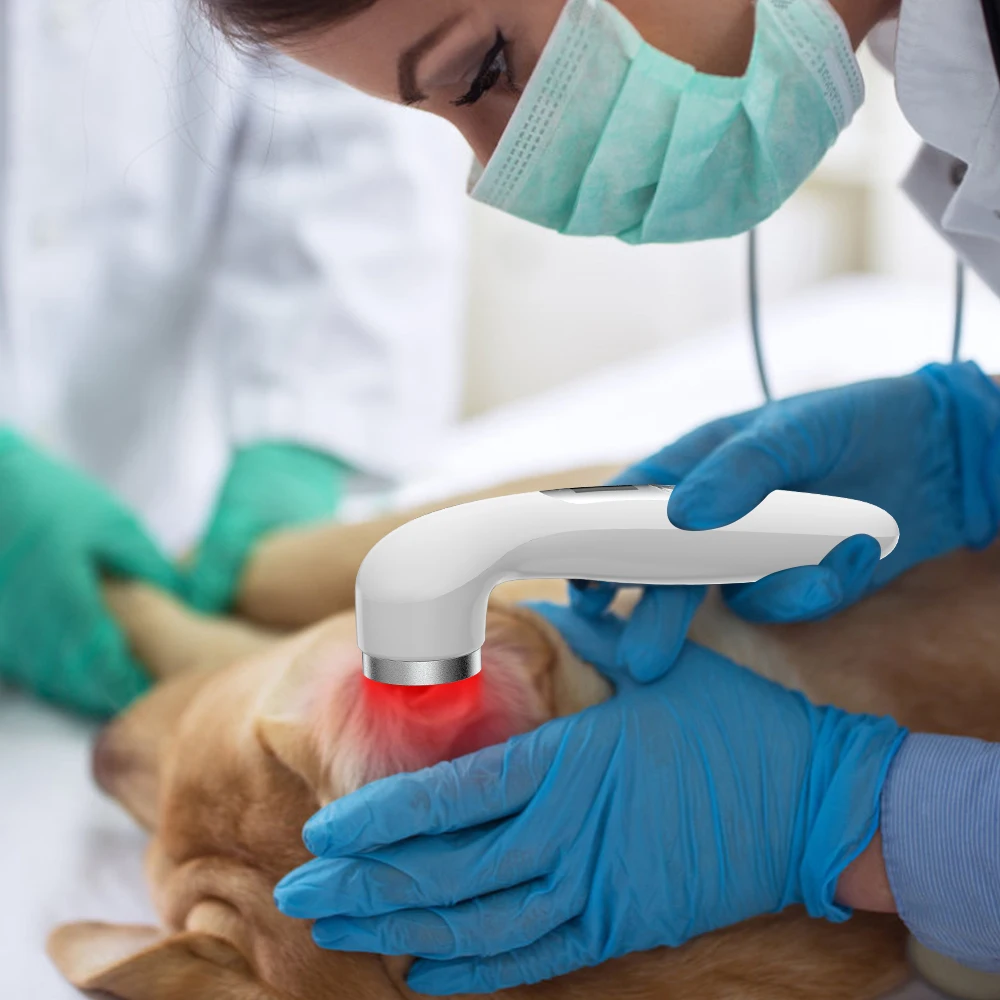 Suyzeko Physiotherapy Cold Laser Therapy Device for Muscle Pain Relief with LED Display Red Light Treatment Pet Dog 2025 NEW - Image 6