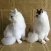 Simulation Mini Cat Cute Plush Cats Toy Children Birthday Gifts Creative Imitation Cat Ornaments Home Decoration Supplies 4