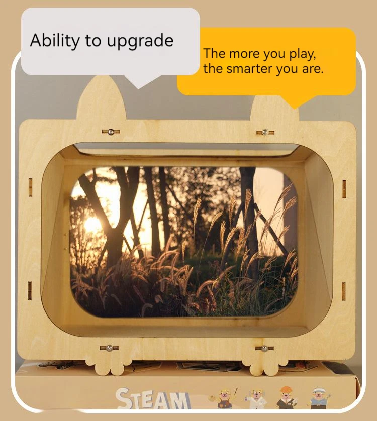 3d Holographic Cinema Tv Projector Scientific Experiment Handmade