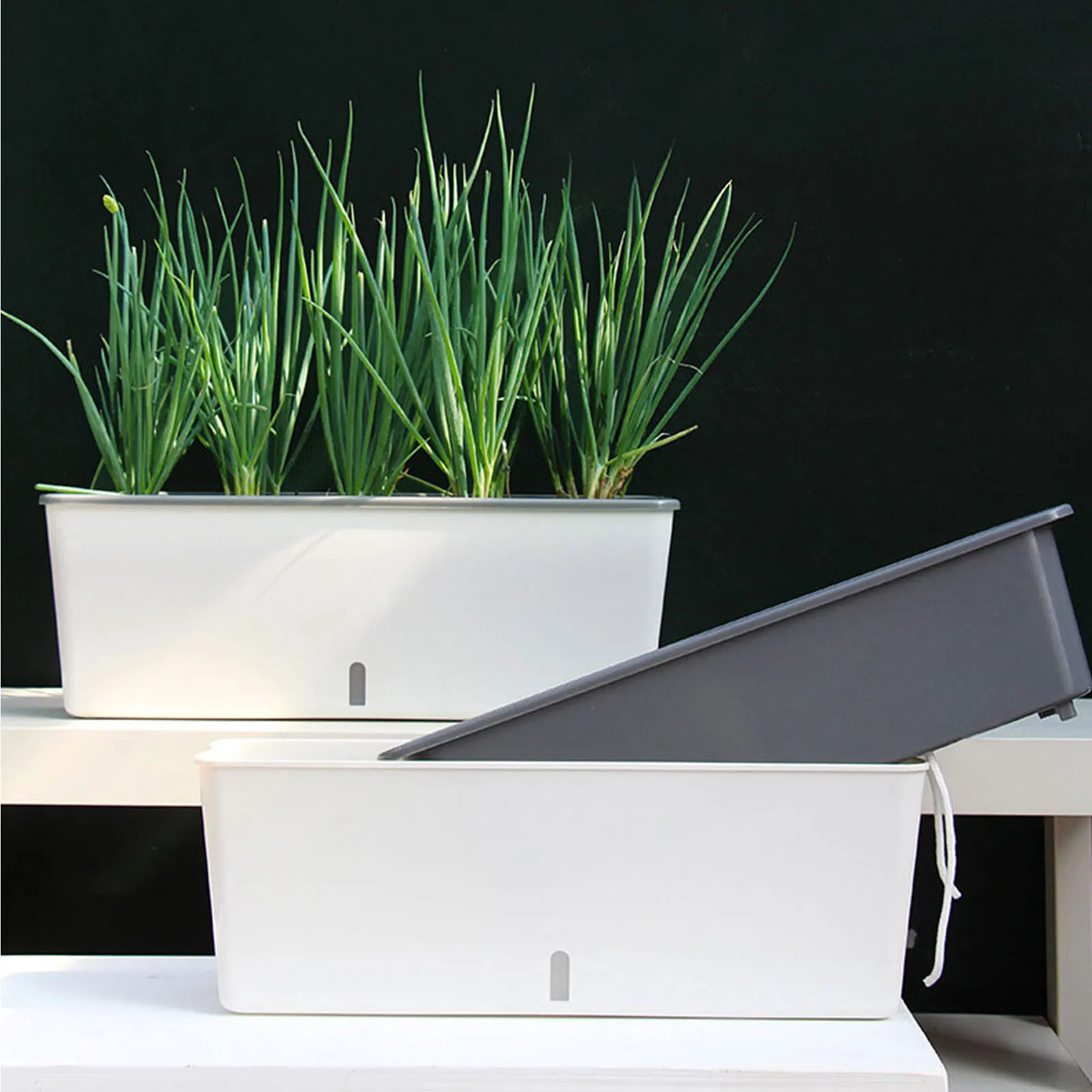 Self-Watering Planter 5
