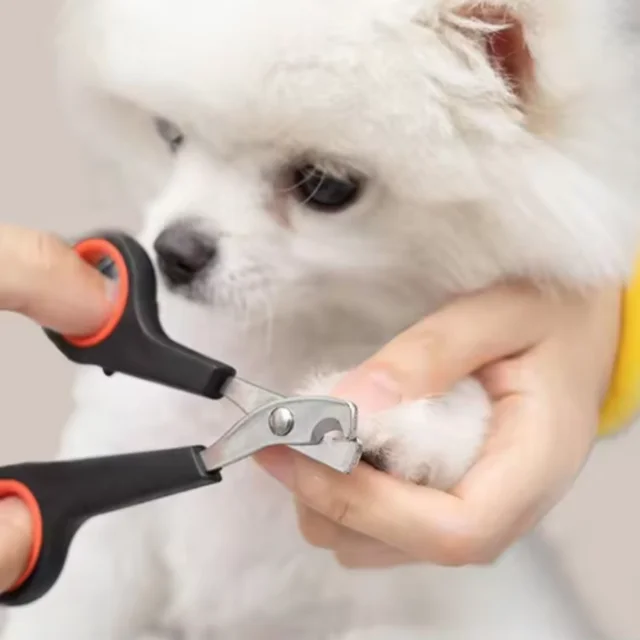 Pet Nail Dog Nail Clippers Scissors Puppy Dogs Cats Care Nails Claws Animal Trimmer Supplies Products Home For Stuff Garden 3