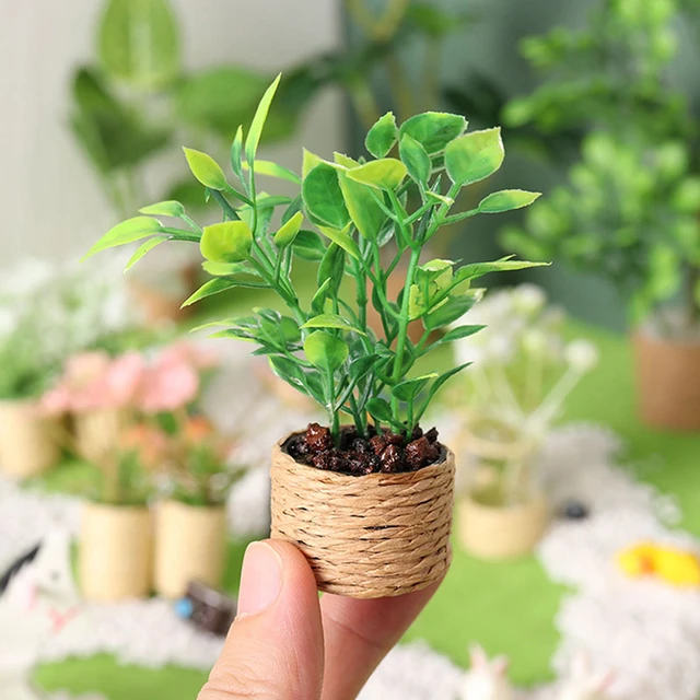 Mini Arbre Miniature En Pot Pour Maison De Poupée 1:12, Plante Verte En Pot,  Meubles De Maison De Poupée, Décoration De Maison, Simulation De Plantes En  Pot - Poupée Maison Accessoires - AliExpress