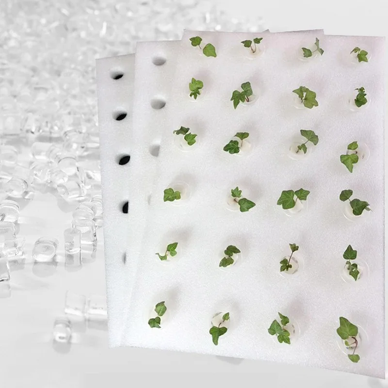 Hydroponic Planting Board 24 Hole Fish Pond Vegetable Planting Floating Plate Balcony Greenhouse Soilless Cultivation Equipment