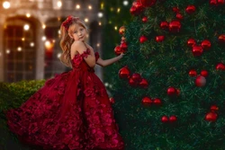 Burgundy Applique Tulle Puffy Off Shoulder Flower Girl Dress For Wedding Luxurious Child First Eucharistic Birthday Party Dress
