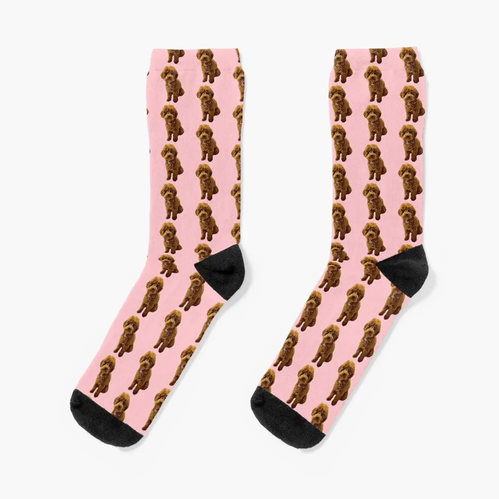 

Ginger the Toy Poodle in Pink Socks Sports gifts Male Socks Women's