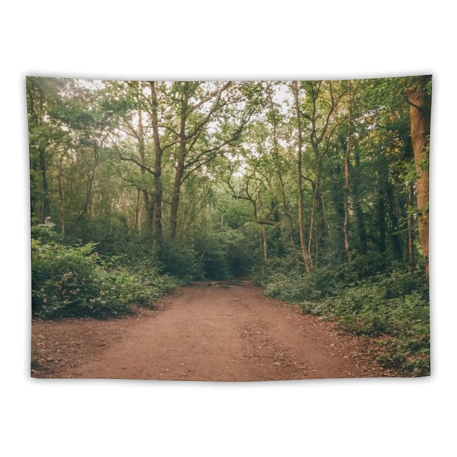 

Long Forest Walk Six Forest Road Trip Tapestry Room Decorator Bedrooms Decor Outdoor Decoration Tapestry