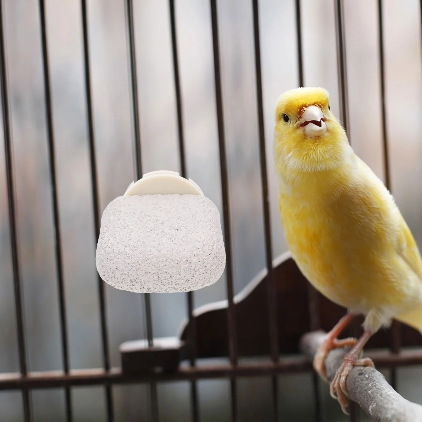 Parrot Standing Pole Bird Cage Toys Accessories Perch Pumice Stands for Parrots Perches