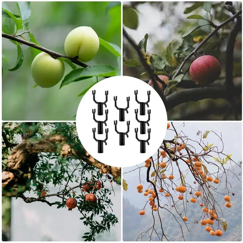 Branch Support For Fruit Trees 8pcs Crutch For Leaning Fruit Tree Y-Shaped Tree Supporting Tool Sloping Trees Ornamental