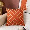 2pcs luxury cushion cover 2