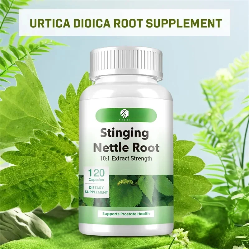 Stinging Nettle Root-Promotes Prostate and Urinary Tract Health, Reduces Frequent Urination