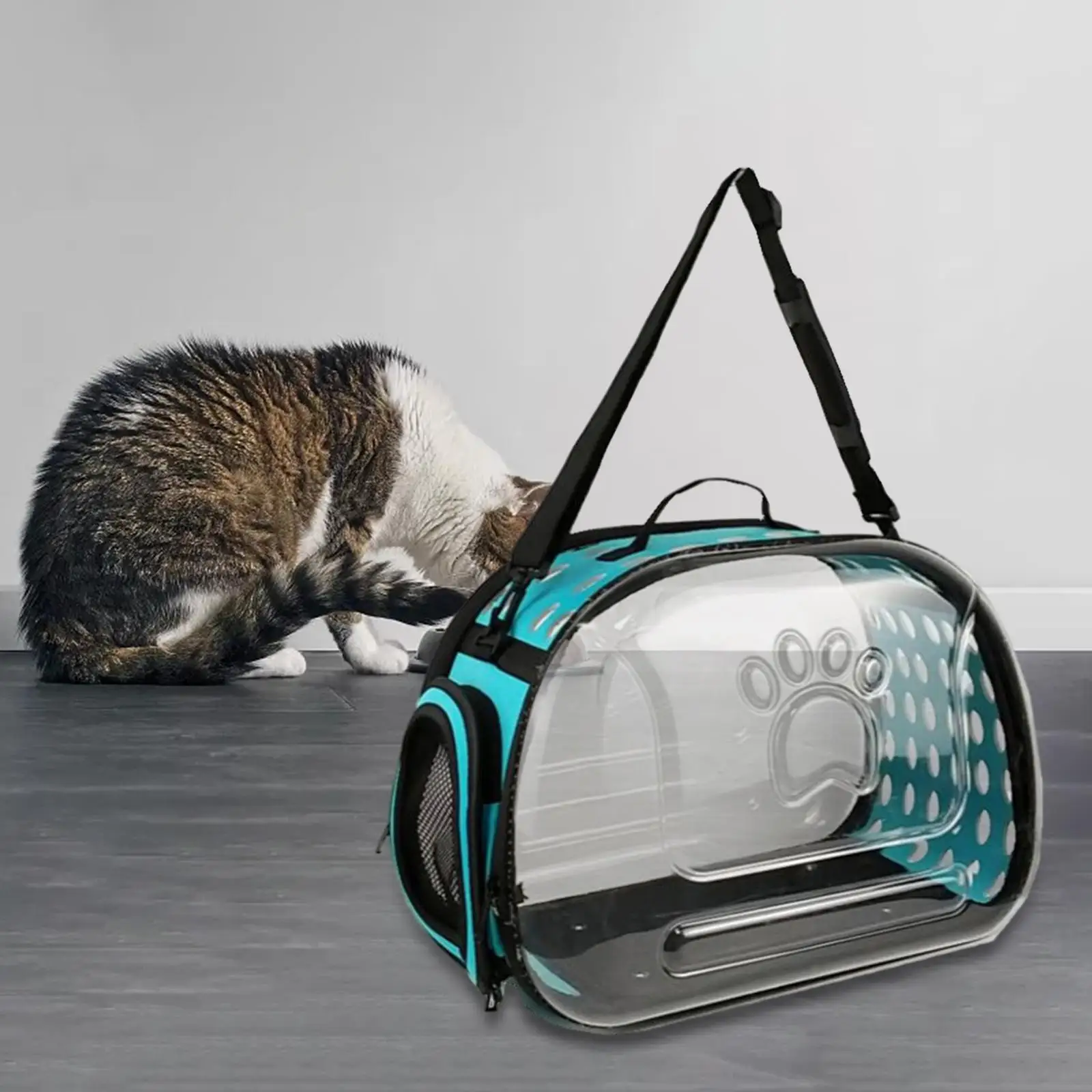 Portable Cat Carried Bag Carry Kennel Collapsible Soft Sided Pet Carriers for