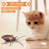 Fine Battery Powered Cockroach Trick Supplies Kids Favorite Party Favor 3