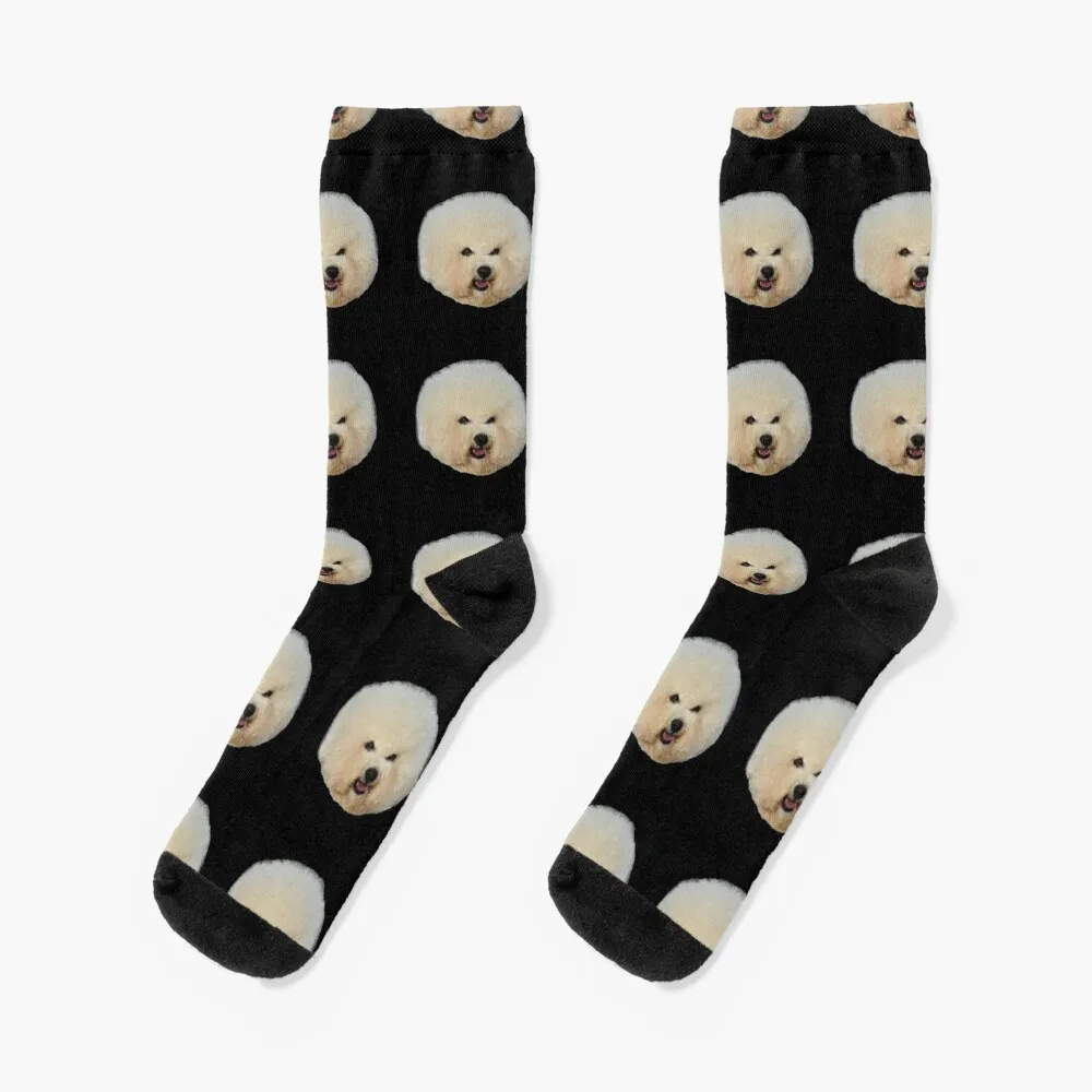 

A Very Beautiful Bichon Frise Dog Socks New year's socks socks man Men Socks Women's