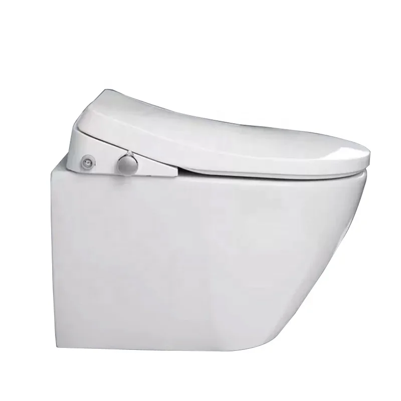 Complete Toilet Set with Wall Hung Toilet, Dual Nozzles Cold Water Soft Closing Seat Cover, Concealed Cistern and Flush Button