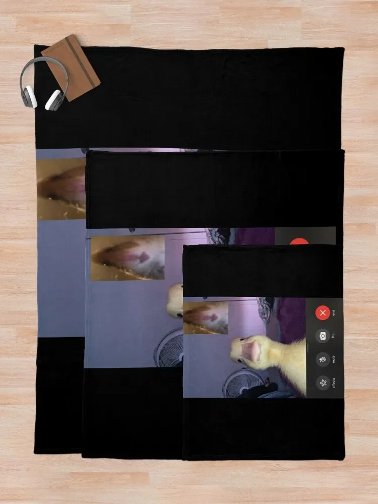 ���� �� �ܽ��� ���̽� Ÿ�� �� ������ ���, ��� ����, ���� ����, �̺�, ���ſ� ���