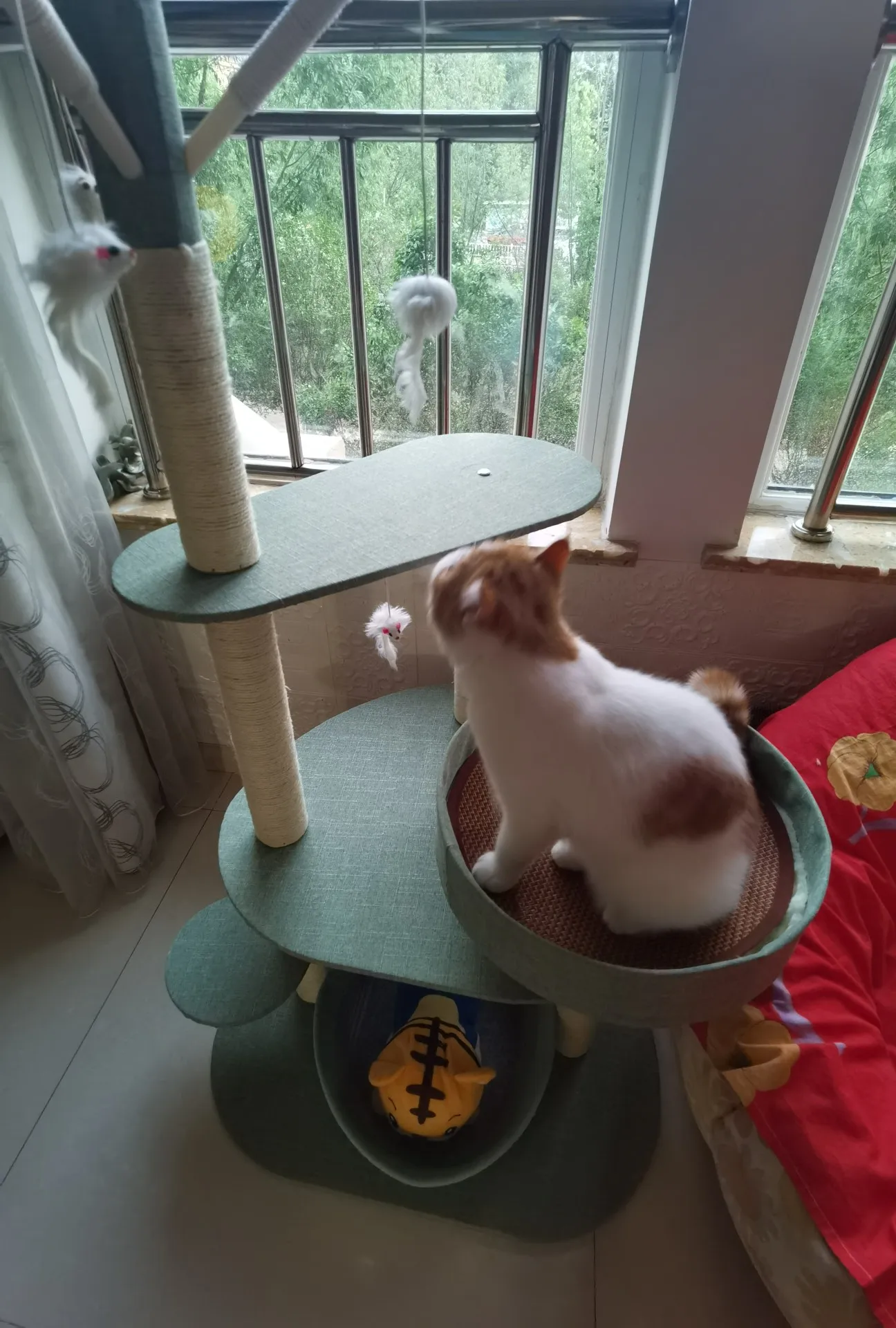 Sd2b15e2fe8f44de89b62be91c7b846a6e