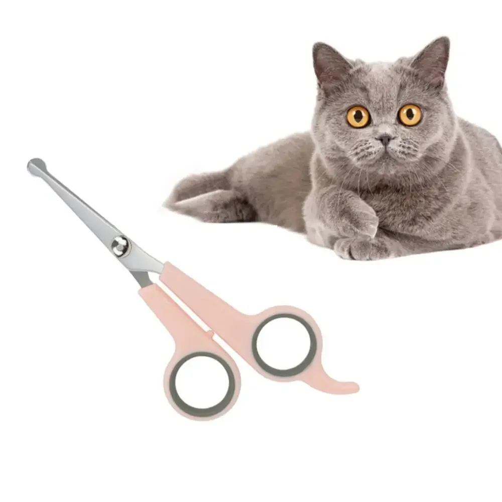 Portable Professional with Round Tip Durable Plastic Pet Accessories Dogs Hair Scissor Hair Cutting Tools Cat Grooming Scissors hairdressing scissors dog grooming scissors dog grooming scissors kit hair trimmer scissors