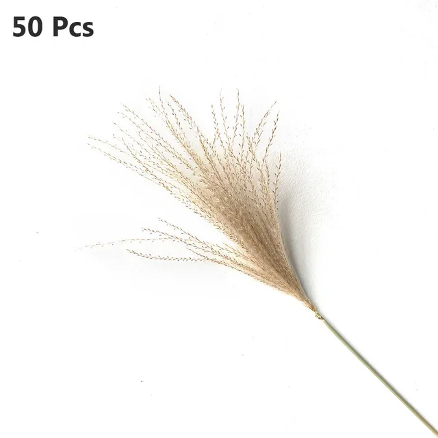 50/100pcs Real Dried Small Pampas Grass