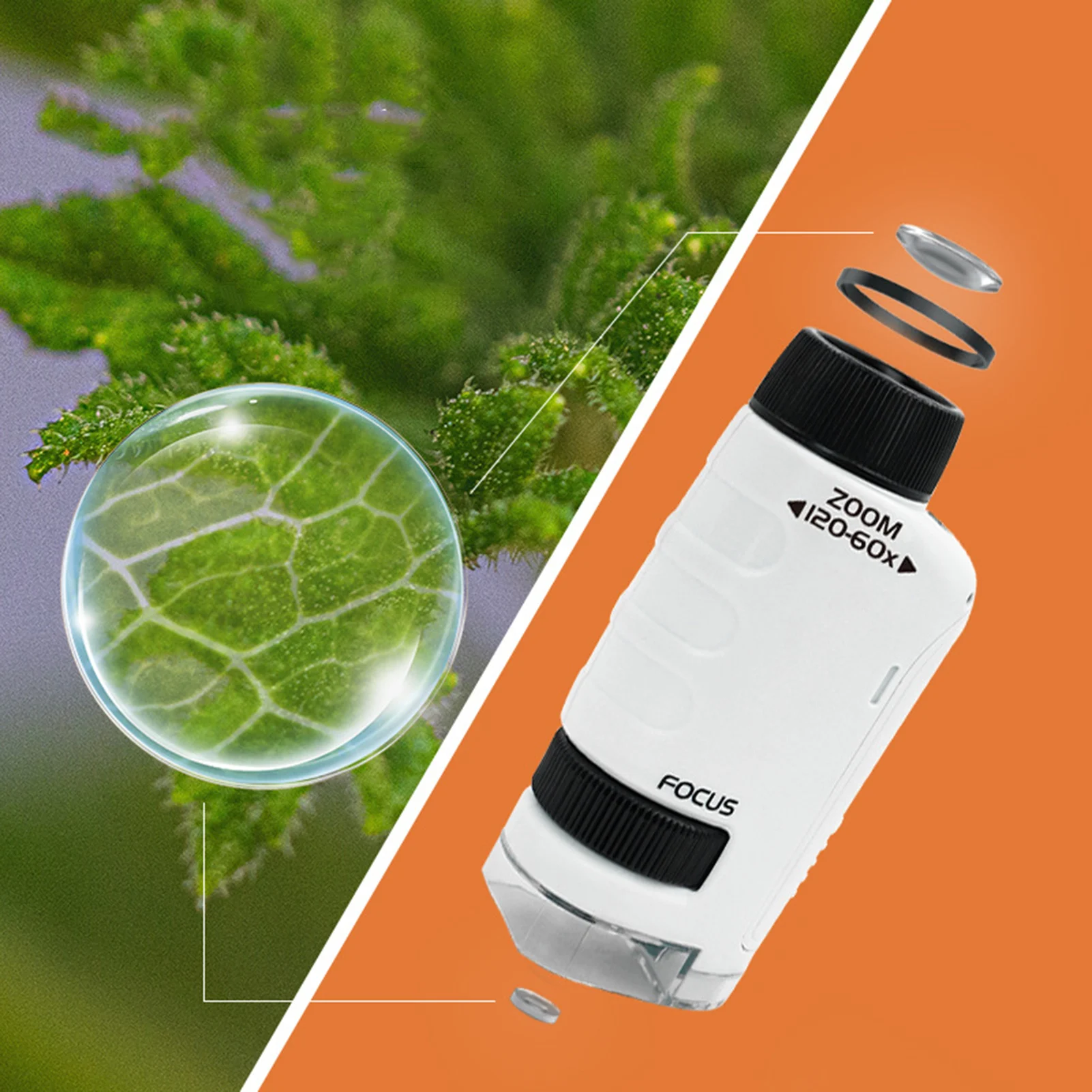 Child Microscope Handheld LED Lighted Microscope