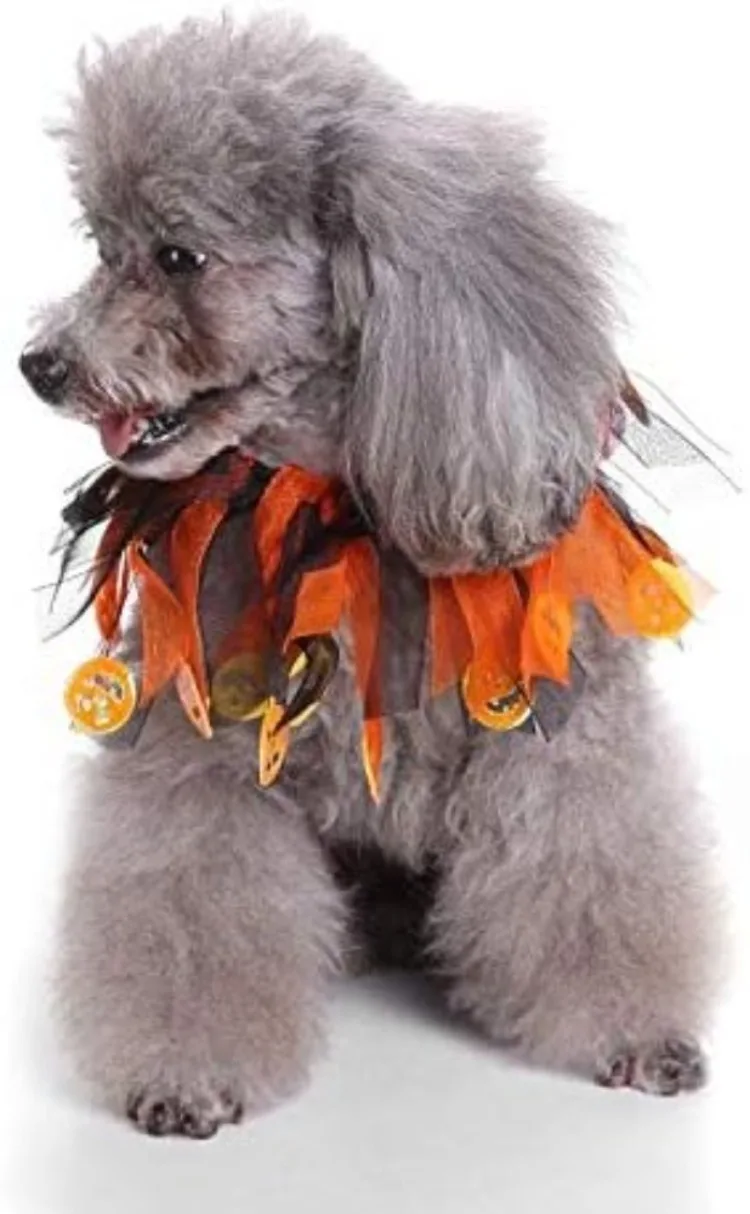 Ausgefallene Haustier-Katzenhalsbänder für Halloween, Thanksgiving-Kostüm, niedliche, weiche, elastische Hundehalsbänder für Party, Urlaub, Geburtstag, Kostüm, Kleid – Detail 4