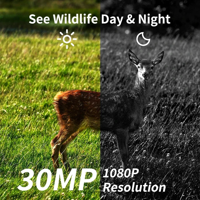 PR804 4G Trail Camera with Night Vision-1080P Video,30MP,2"LCD Screen,IP66 Waterproof for Wildlife Monitoring,Hunting,Security 2