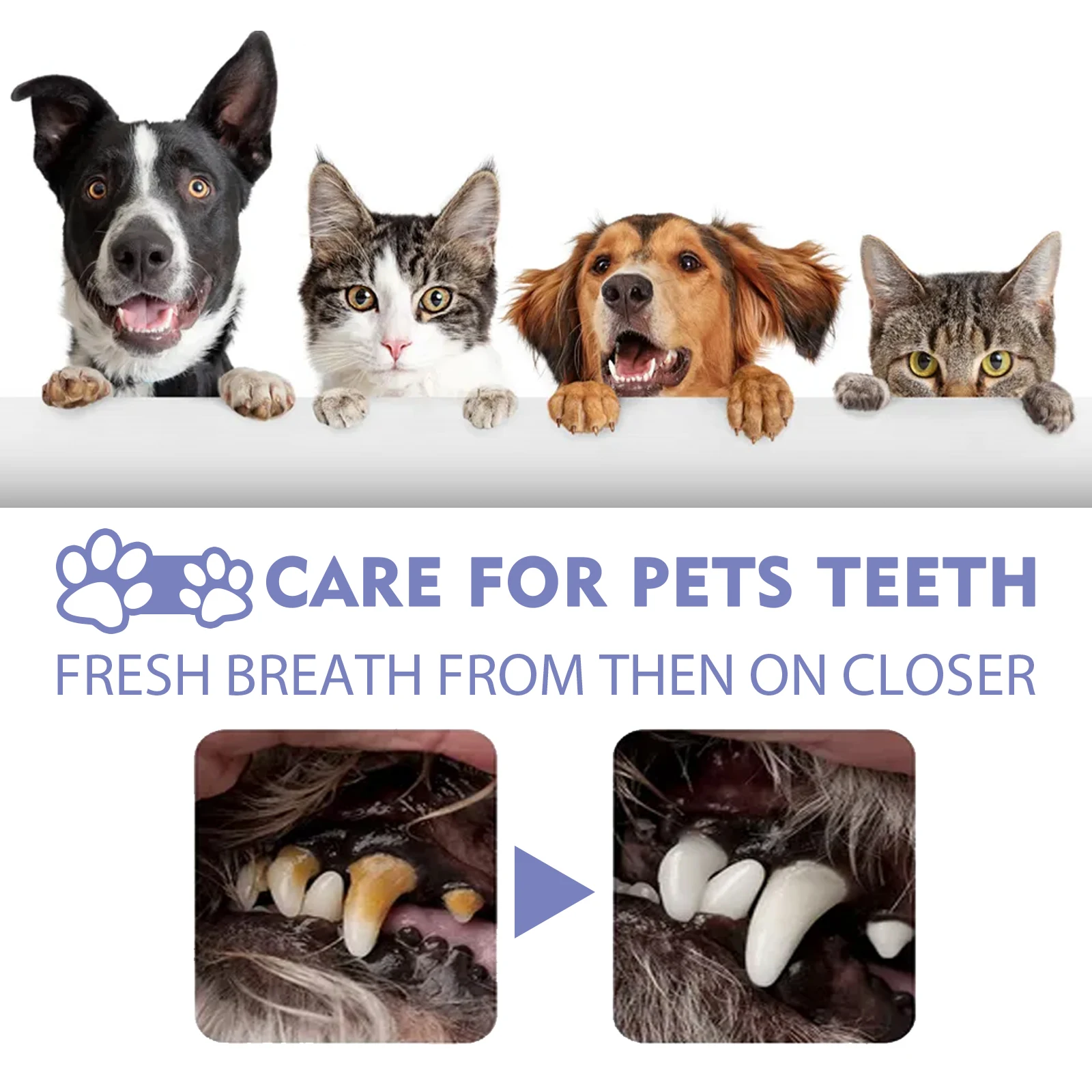 30ml Tooth Cleaning Spray For Cats And Dogs Fight Gum Disease-Remove Stains-Freshen Breath Cats And Dogs Pet Oral Care Spray