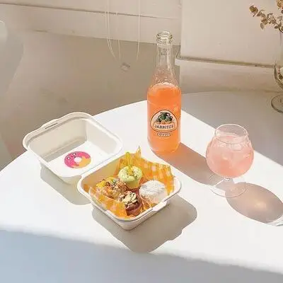 20/10pcs Disposable Bento Food Containers, Biodegradable Sugarcane & Wheat Straw Lu... - SKU DBFC2223 - UGI Packaging