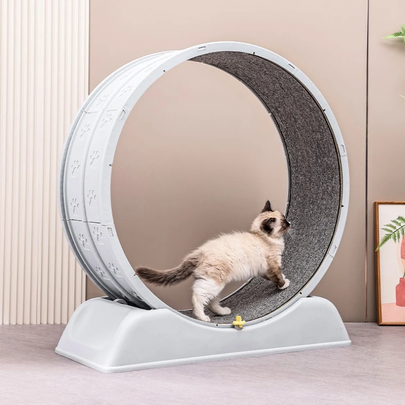 The New Cat Treadmill Is Silent and Does Not Get Stuck Cat Toys Climbing Frame Plastic Fitness Sports Cats Running Wheel
