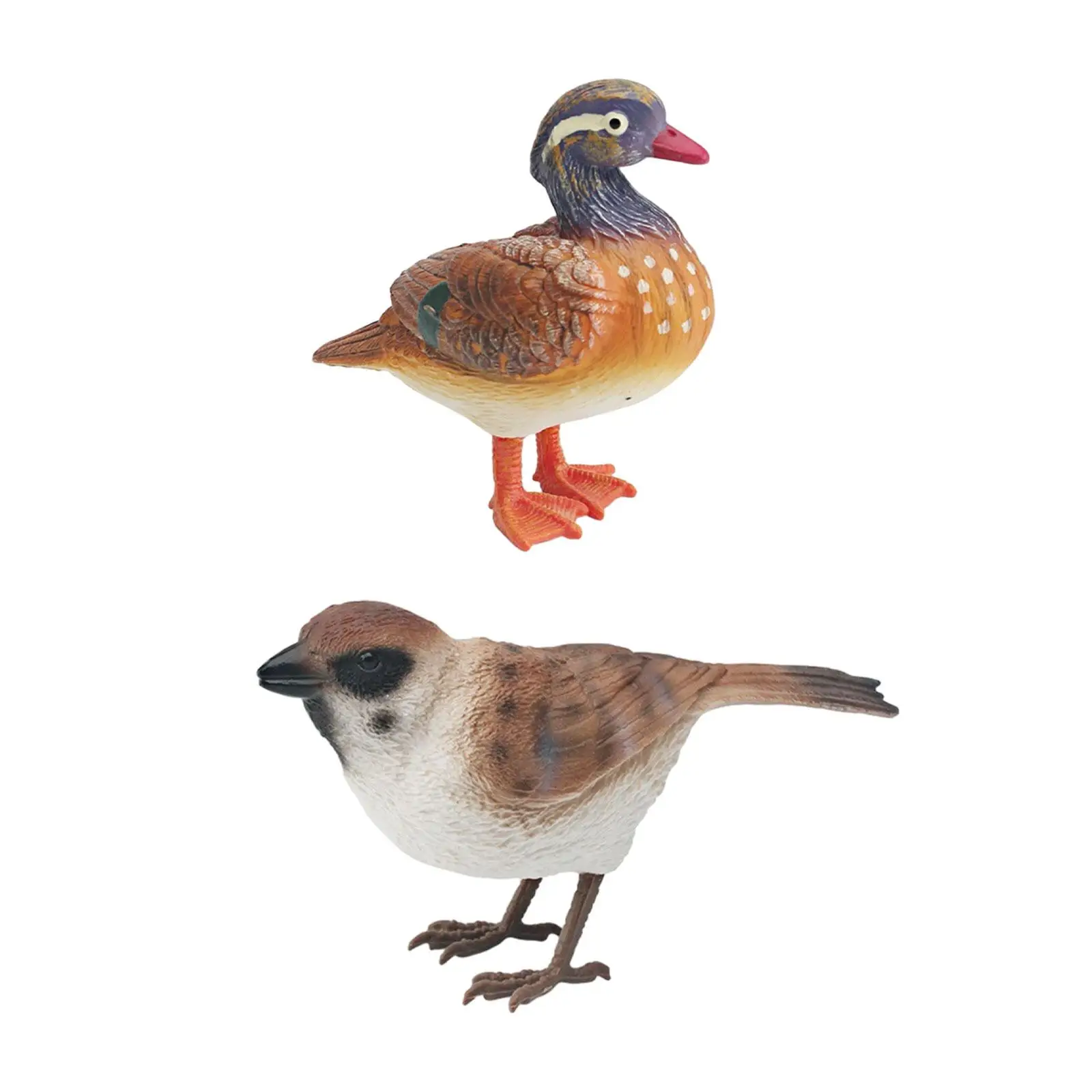 

Реалистичная фигурка птицы, искусственная птица для детей, миниатюрная модель искусственной птицы, декоративные украшения