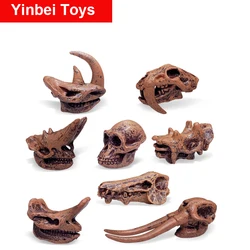 Dinosaurios cráneo fósil Kit de juguetes, Arqueología para niños de 3 años y más, niños y niñas