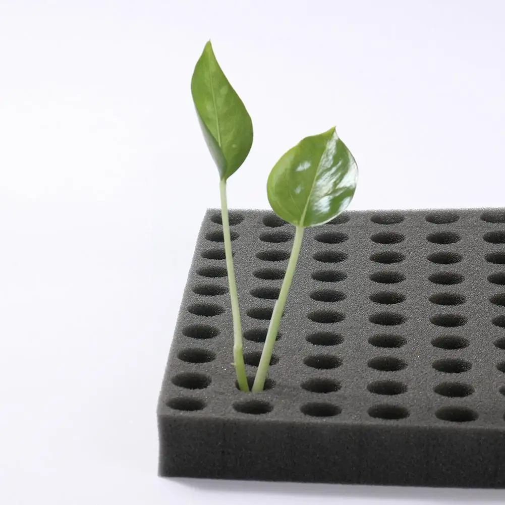 100 PCS Seedling Sponge Soilless Medium for Hydroponics hydroponic grow media cubes soilless planting substrate