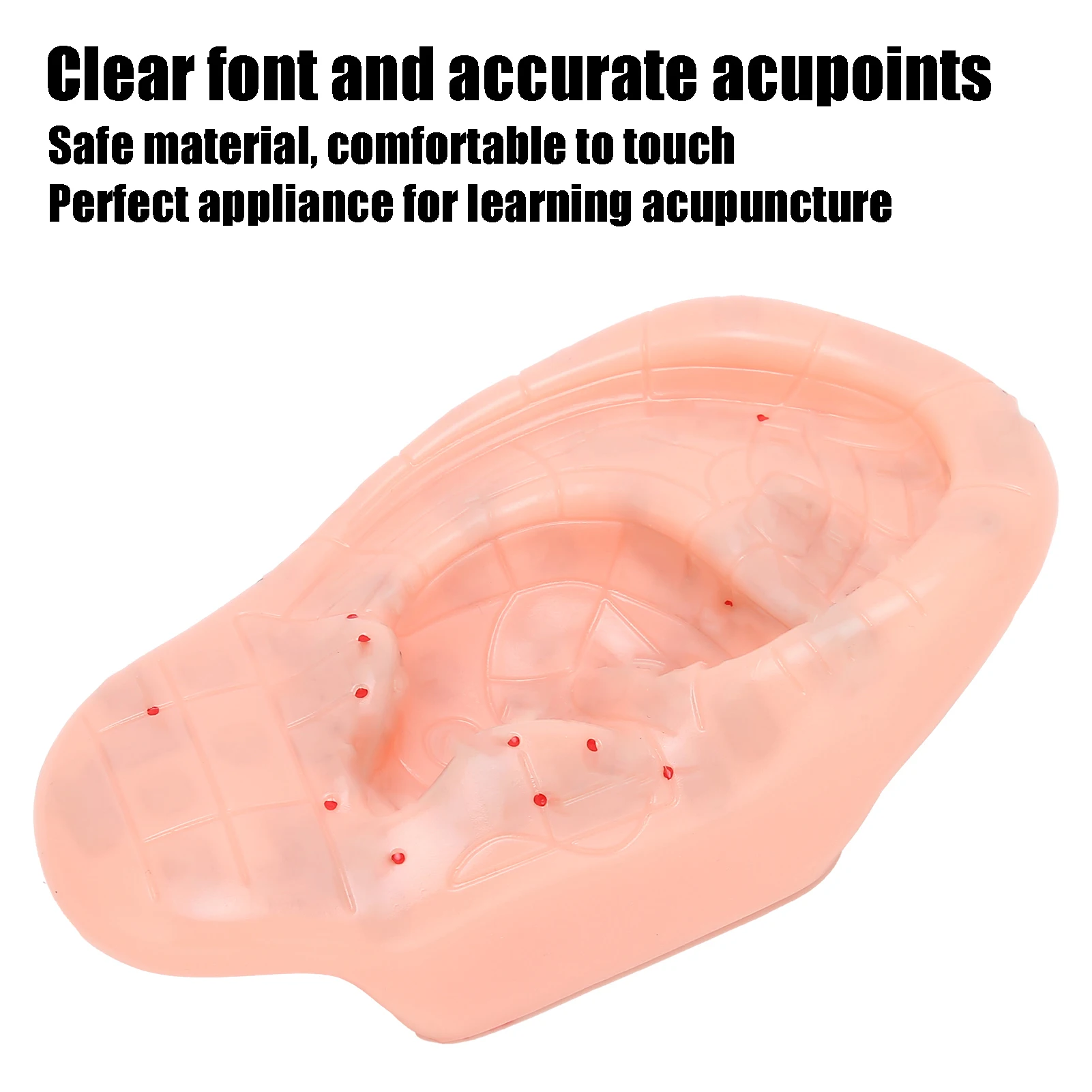 13cm Ear Acupoint Model Ear Zone Model Ear Acupoint Pressure Point Learning Human Acupuncture Model Human Ear Acupuncture Model