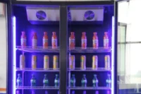 Réfrigérateur vertical commercial, armoire à vin à double porte avec congélateur en verre, refroidisseur de boissons à affichage lumineux LED pour bar et cuisine 5