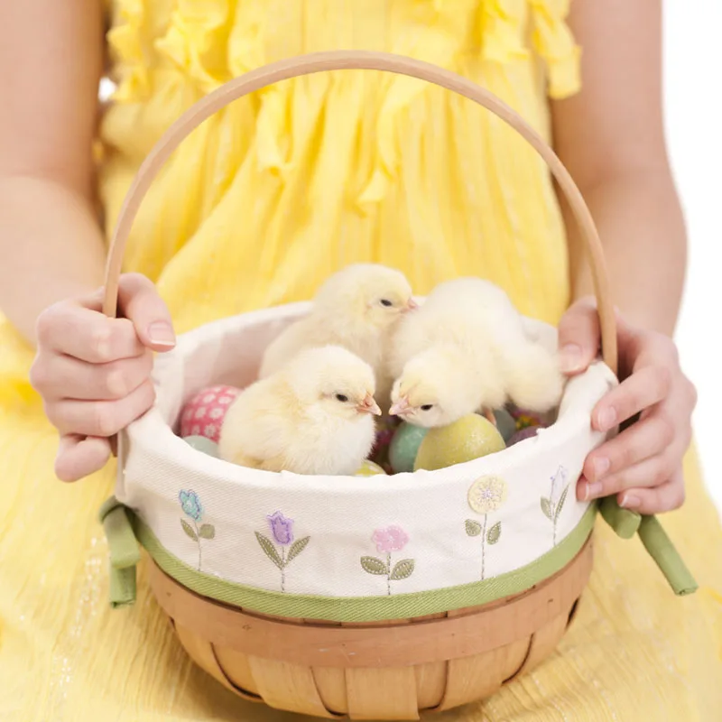 Easter Simulation Chick Plush Toy Realistic Furry Animal Doll Children Cognition Chicken Model Figurine Chicken Kids Gift Toy