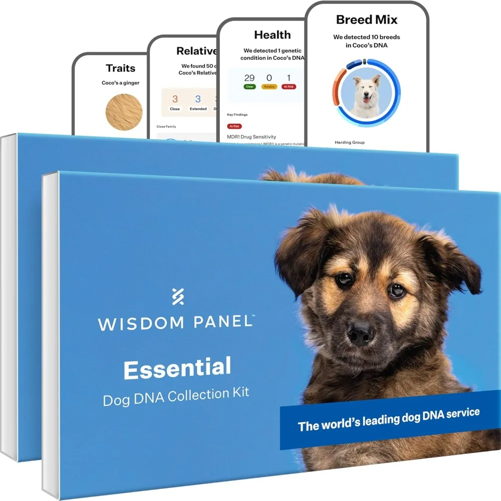 Panel Essential Dog DNA Kit: Most Accurate Test for 365+ Breeds, 30 Genetic Health Conditions, 50+ Traits