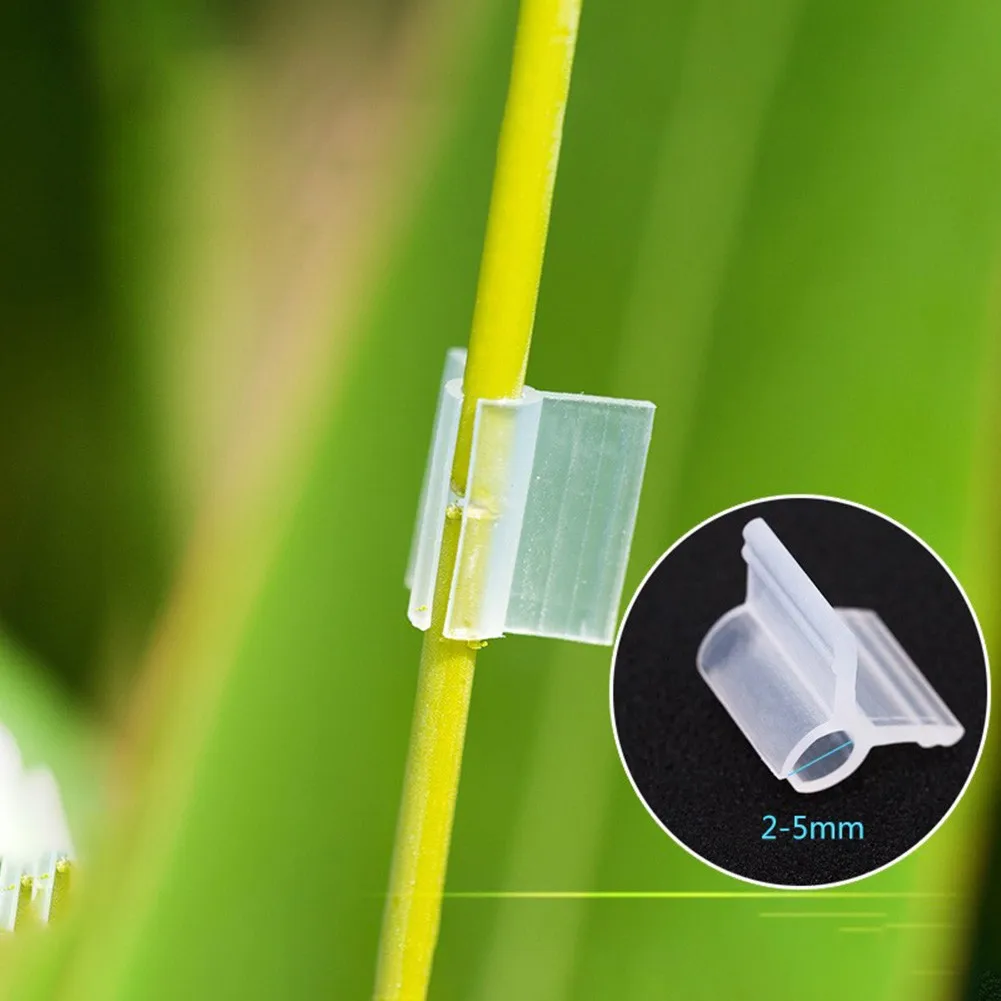 Description Picture 6 of item20Pcs 2/3/4.5mm Agriculture Grafting Clips Vegetable Fruit Plant Tomato Watermelon Support Clamp Gardening Accessories