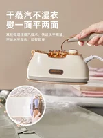 220V Small Size Steam Iron Handheld Garment Steamer for Dorm Room 2