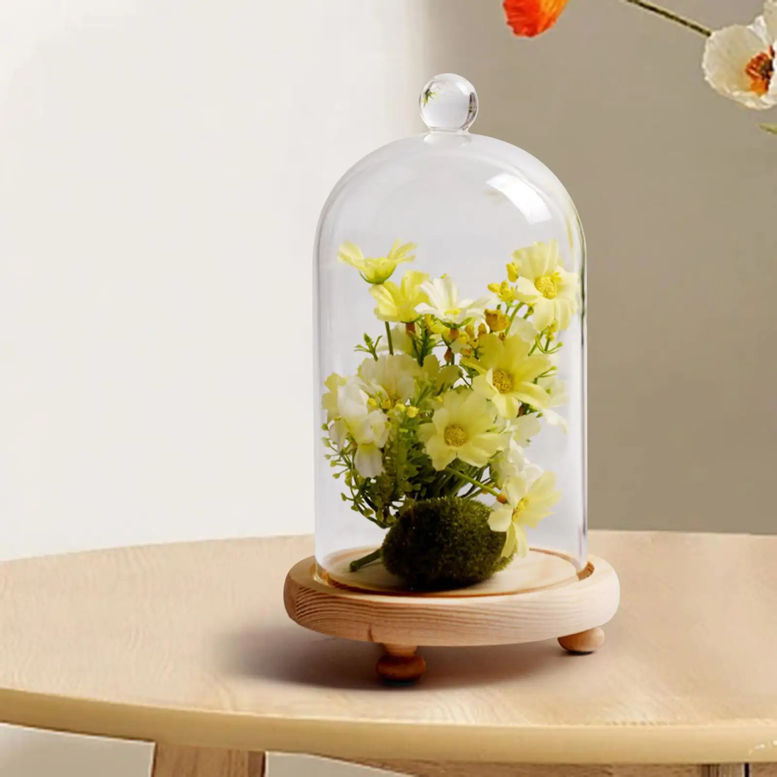 Glass Display Dome Cloche Bell Jar Multipurpose Portable Cover Showcase Wood Base for Home Office