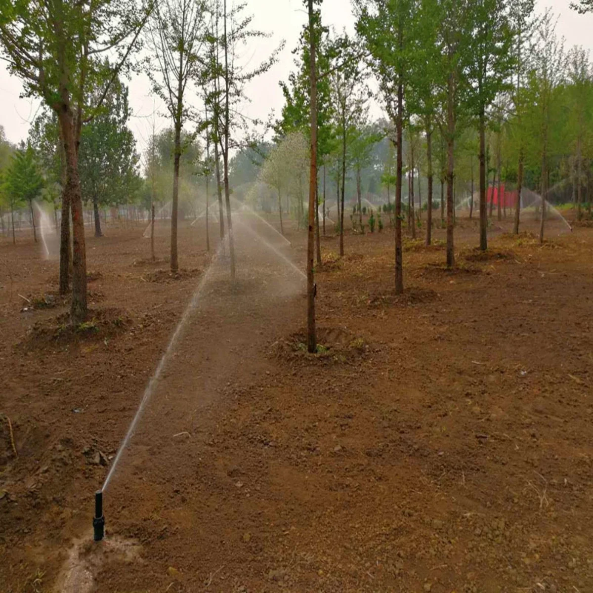 40 ° ~360 ° Einstellbare Pop-up-Sprinkler Garten Rasen Obstgarten Bewässerung Vergraben Rotierenden Sprinkler Fußballplatz Rasen Bewässerung Düse – Detail 9