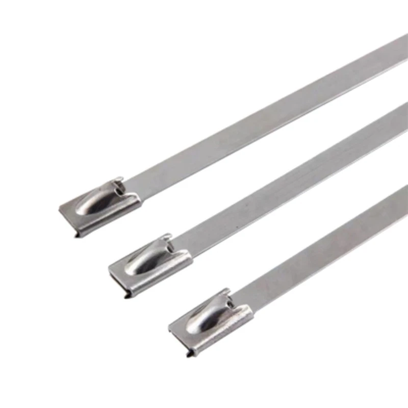 Cable Ties 100pcs for Exhaust Heat Straps Induction pipe 4.6mm width 100-700mm 304 Material