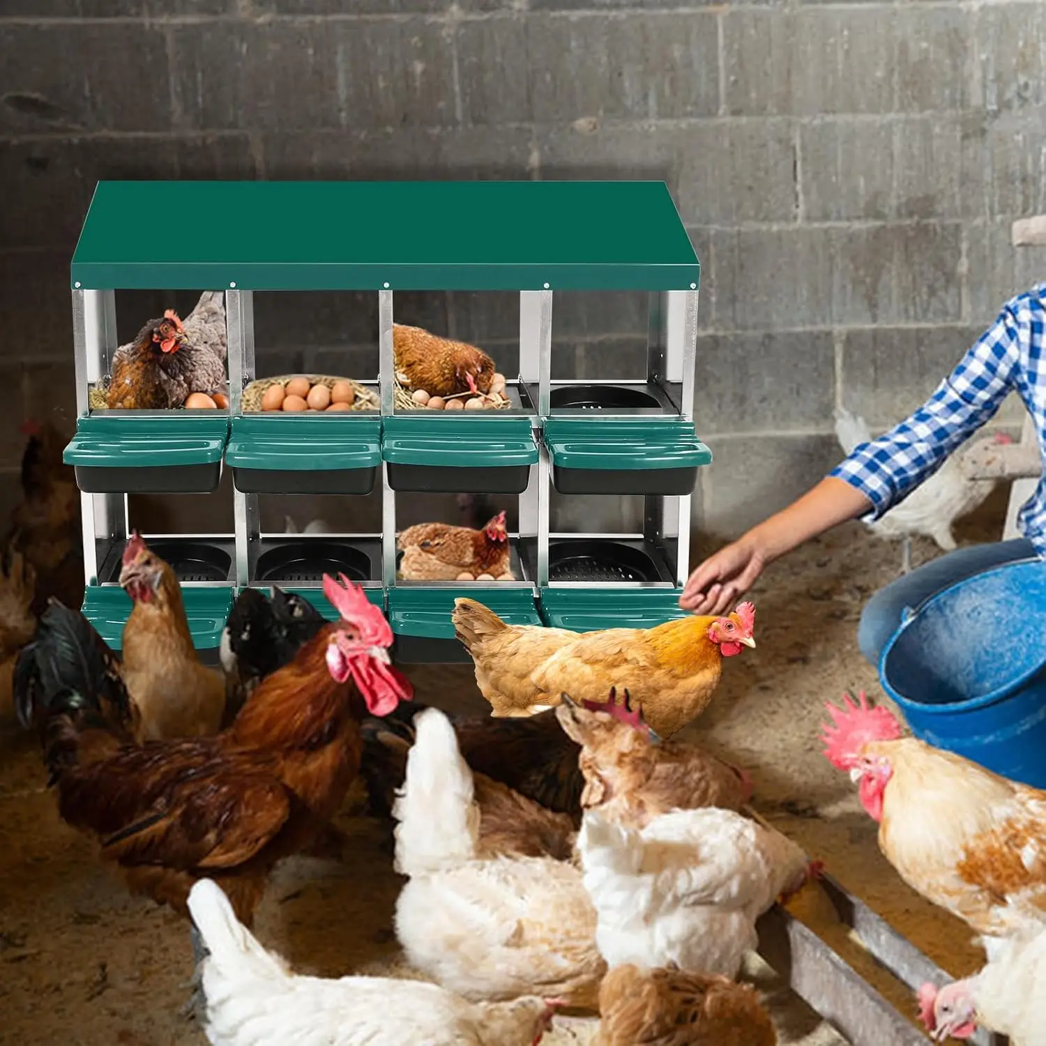 8-10 Chicken Nesting Box 4